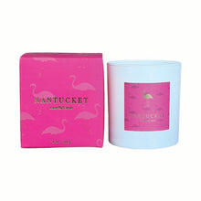 Load image into Gallery viewer, Nantucket - Coastal Living 9 oz candle (waterfall mist)

