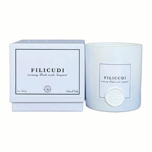Load image into Gallery viewer, Filicudi - 9 oz candle (rosemary, blonde woods, bergamot)
