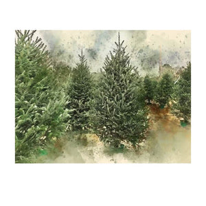 La Villa - Winter Holiday - White Pine Spruce & Cedarwood  18 oz Soy Candle